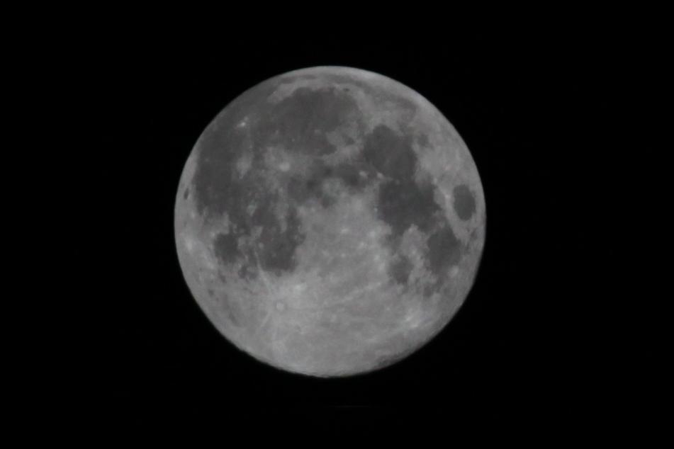 十五夜お月様